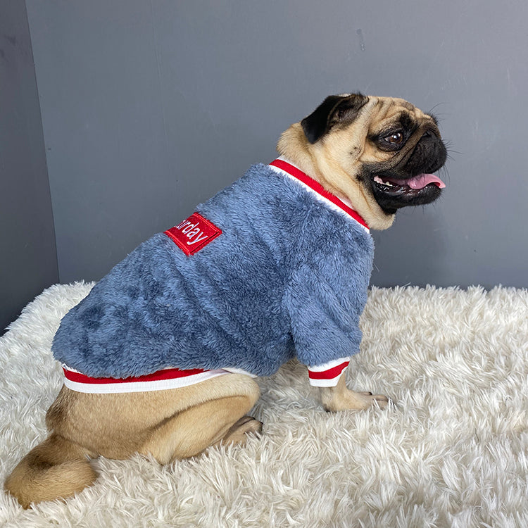 Comfortable Pet Sweater: A Must-Have for Your Furry Friend